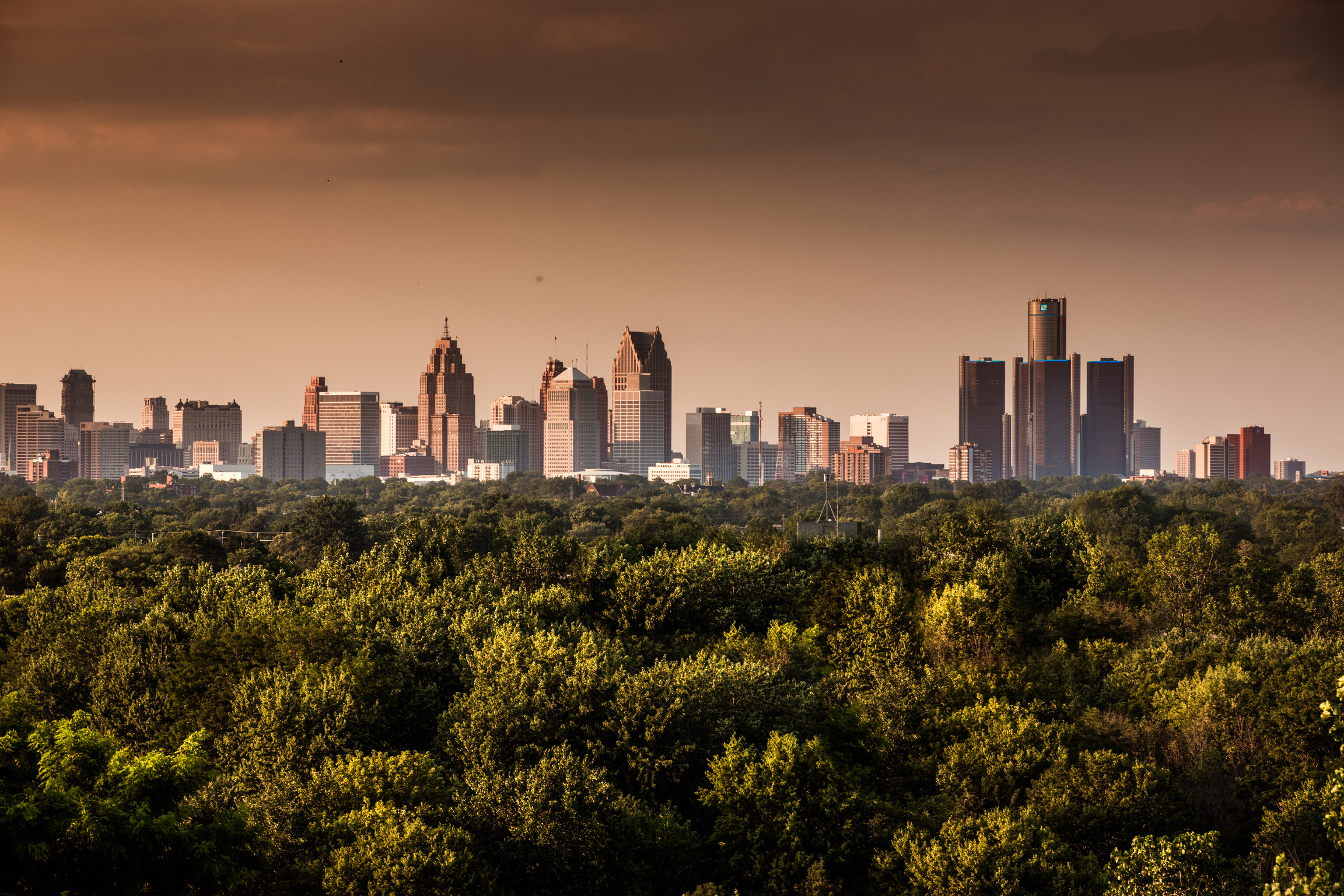 Detroit Skyline